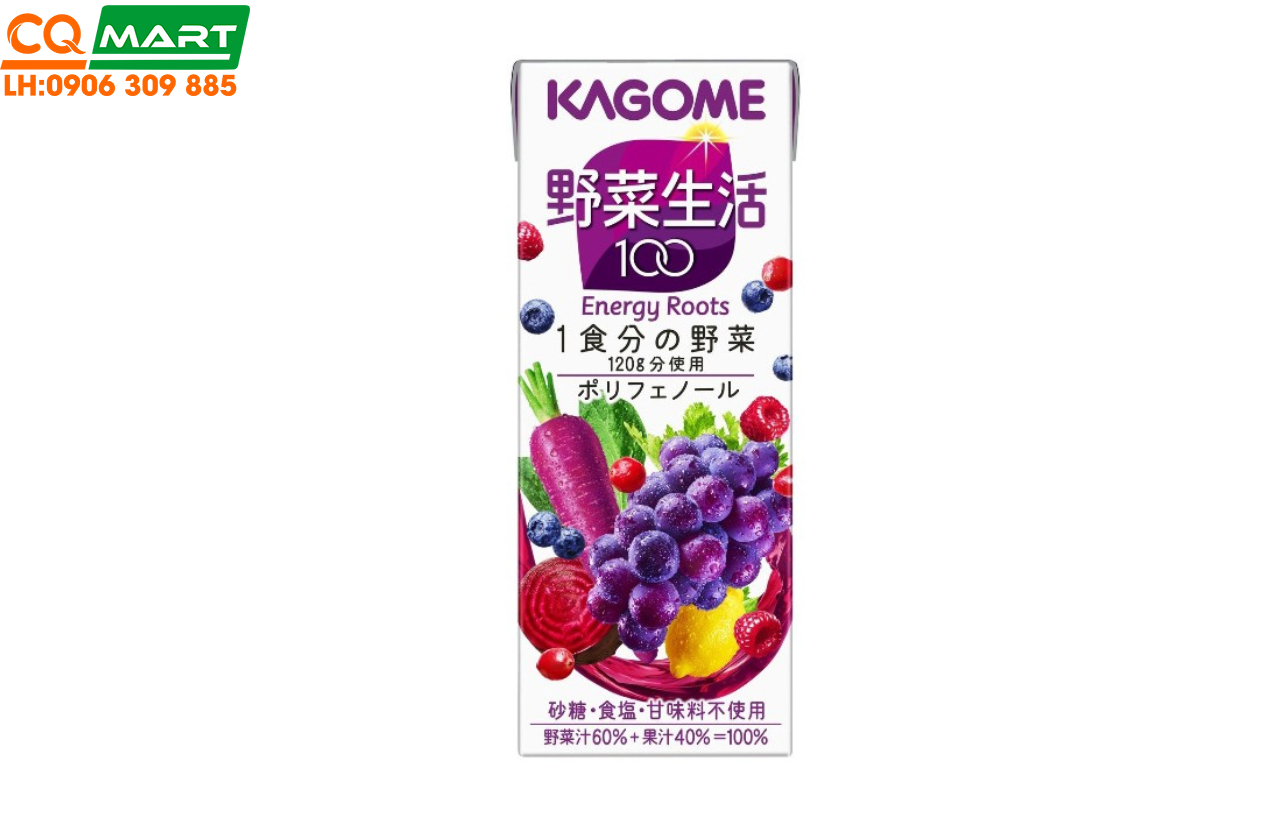 Nước Ép Rau Củ Quả Salad Berry KAGOME 200ml