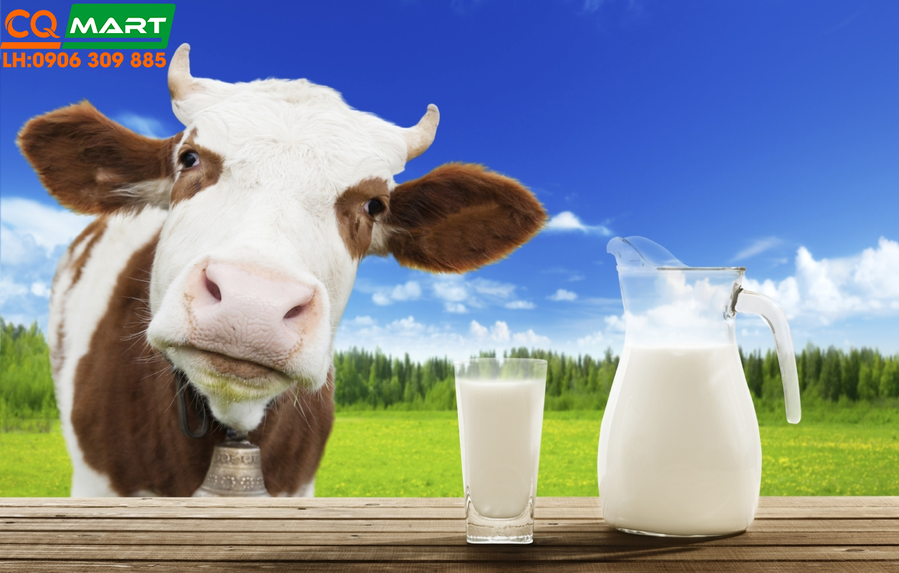 Sữa Tươi Tươi Tiệt Trùng Milklab Dairy Úc 1L