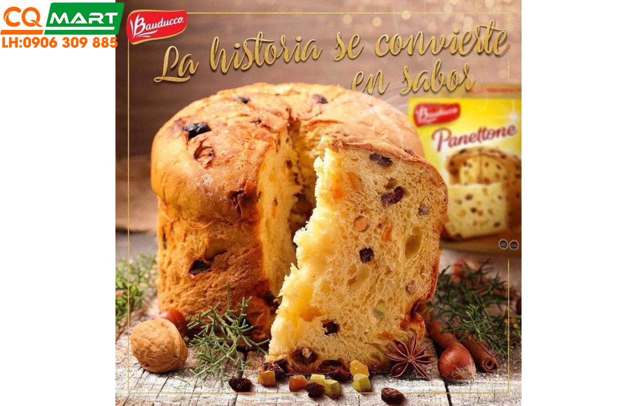Bánh Bông Lan Panettone Socola Bauducco 100g