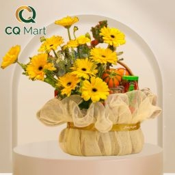 Giỏ Quà Trái Cây Joyful CQ288